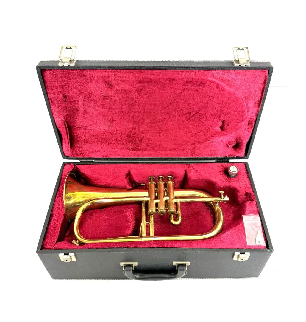 2026年最新】フリューゲルホルン ケノンの人気アイテム - メルカリ