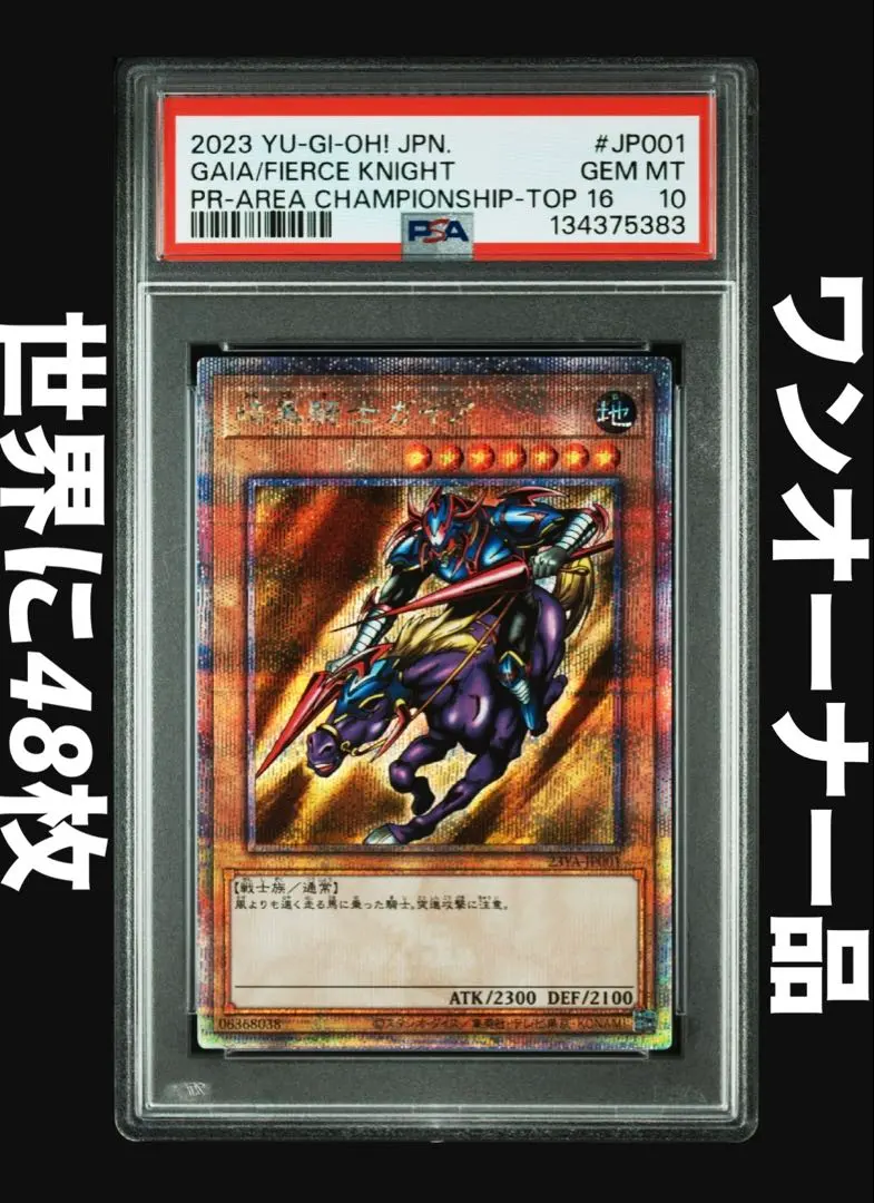2026年最新】竜騎士ガイア 初期 psaの人気アイテム - メルカリ