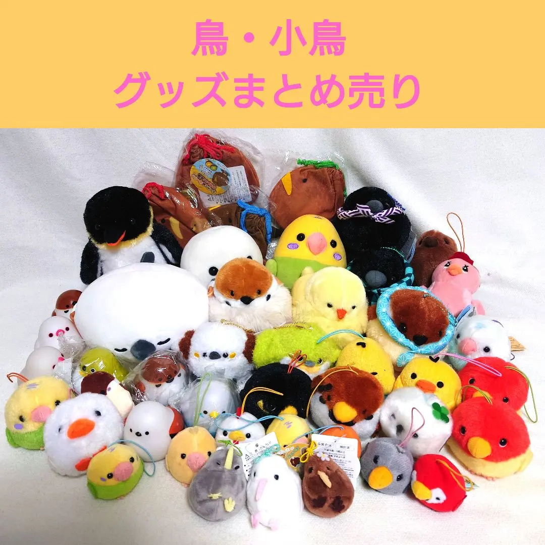 2026年最新】ことり隊 セキセイインコの人気アイテム - メルカリ