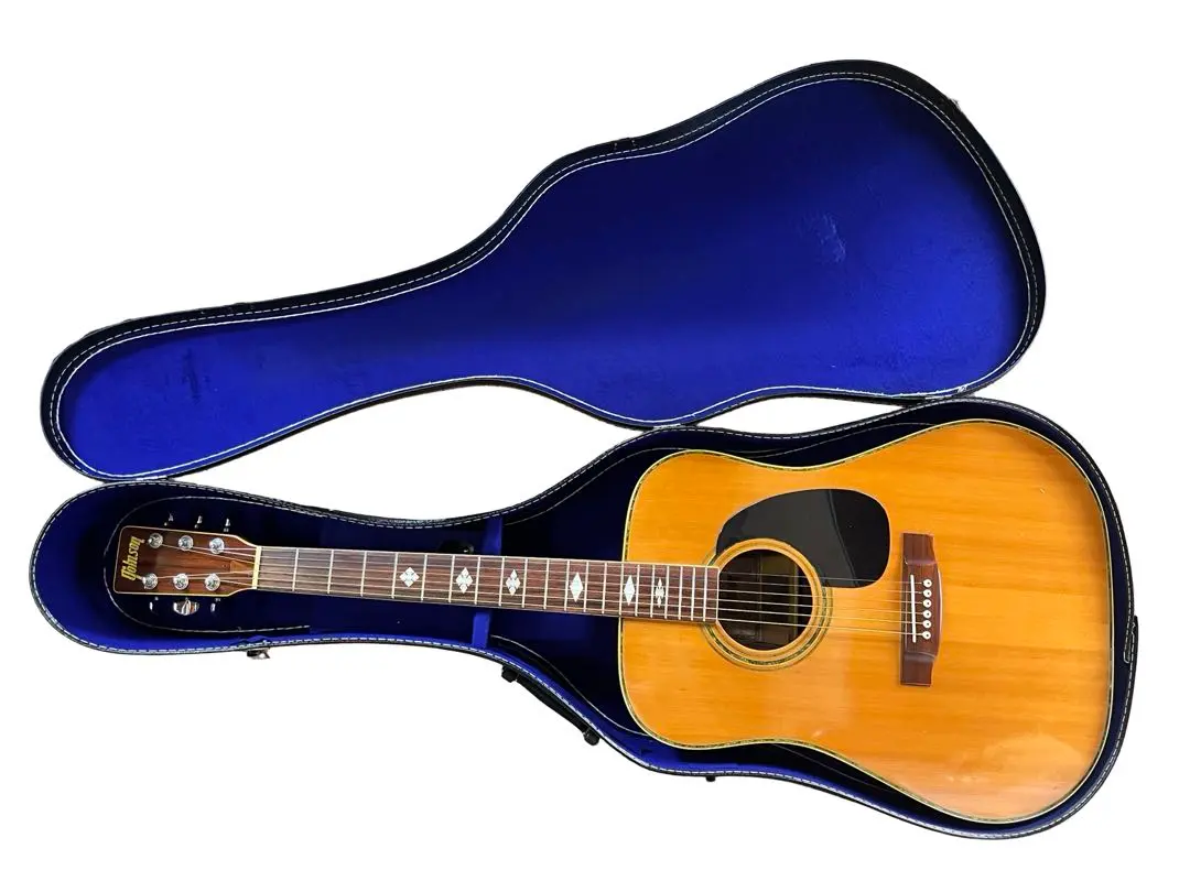 2026年最新】THOMSON アコースティックギターの人気アイテム - メルカリ