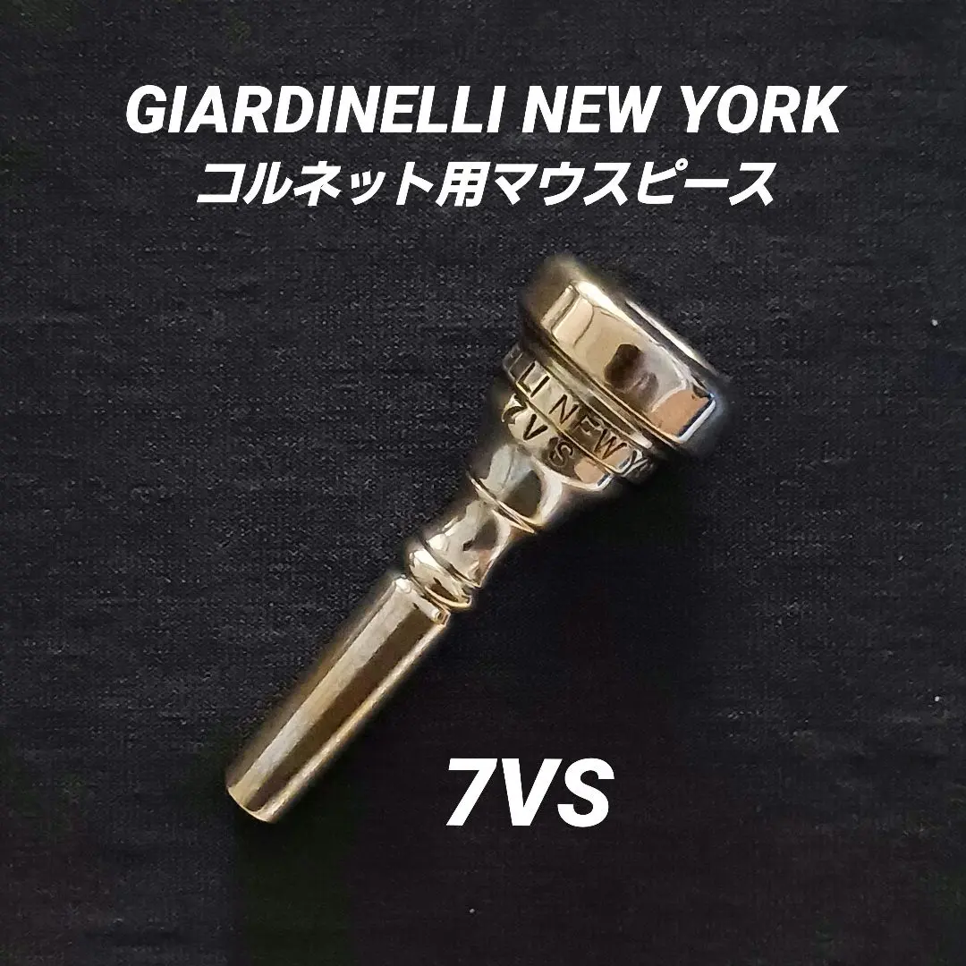 2026年最新】マウスピース giardinelliの人気アイテム - メルカリ