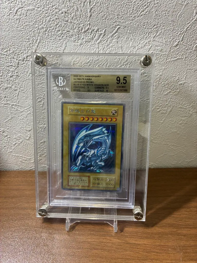 m42439594107_1.jpg?1765328879