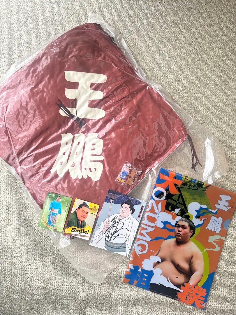 2026年最新】王鵬 サインの人気アイテム - メルカリ