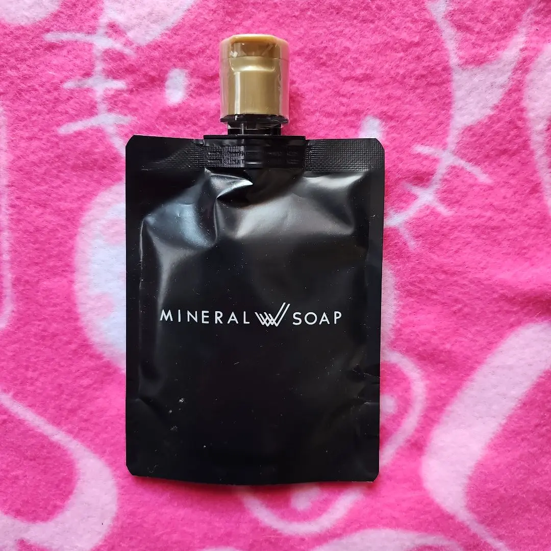 2026年最新】ワールドレップサービスソープの人気アイテム - メルカリ