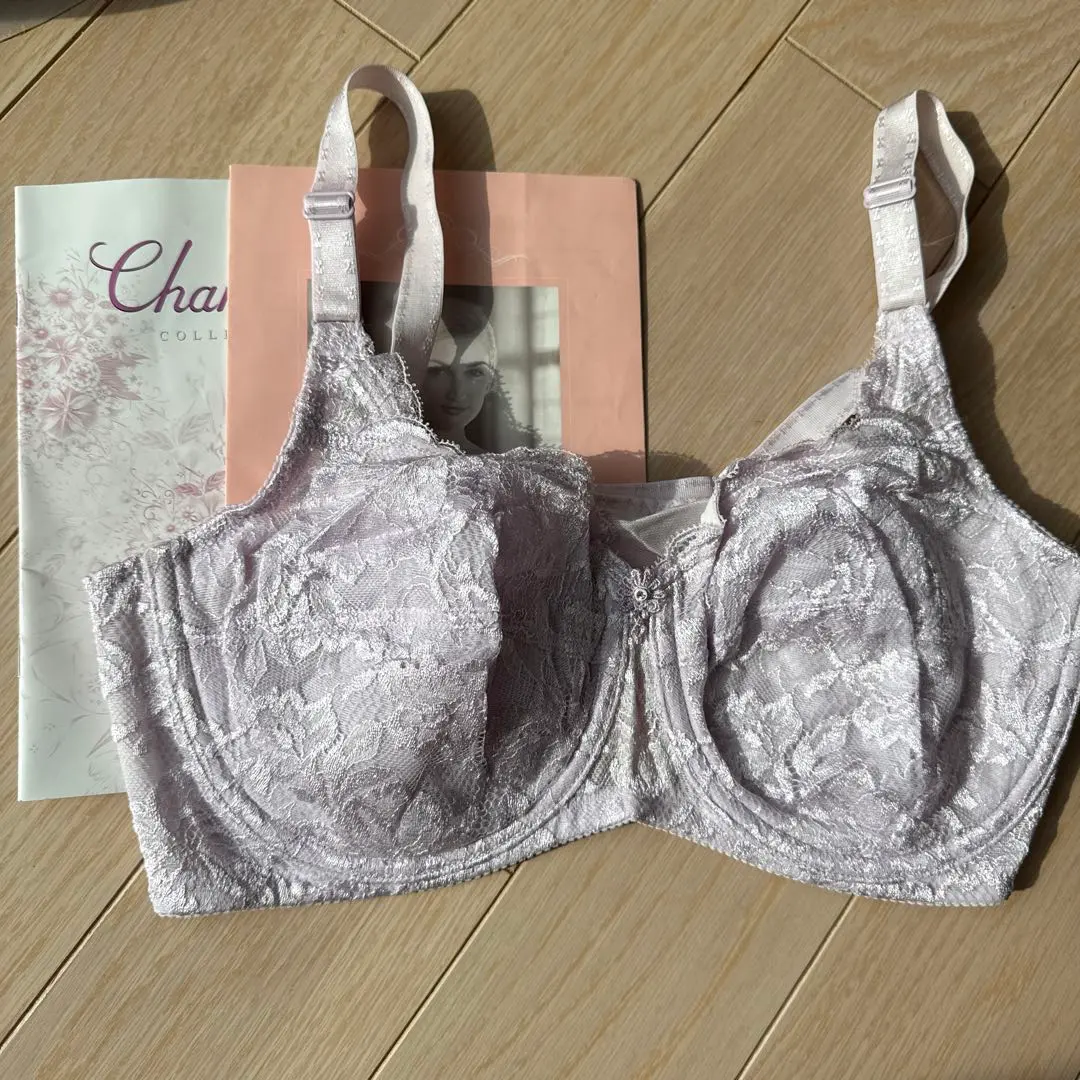 2026年最新】シャンデールブラジャー d75の人気アイテム - メルカリ