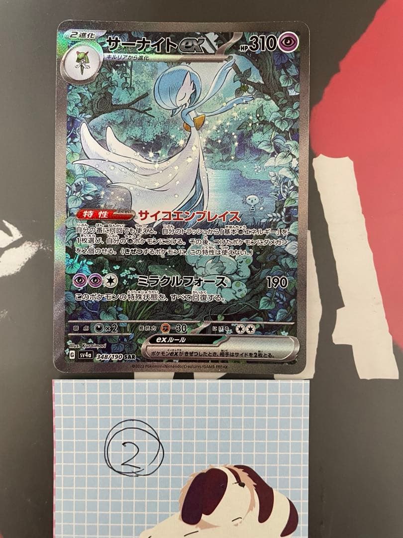 のすけさん専用 サーナイトex SAR