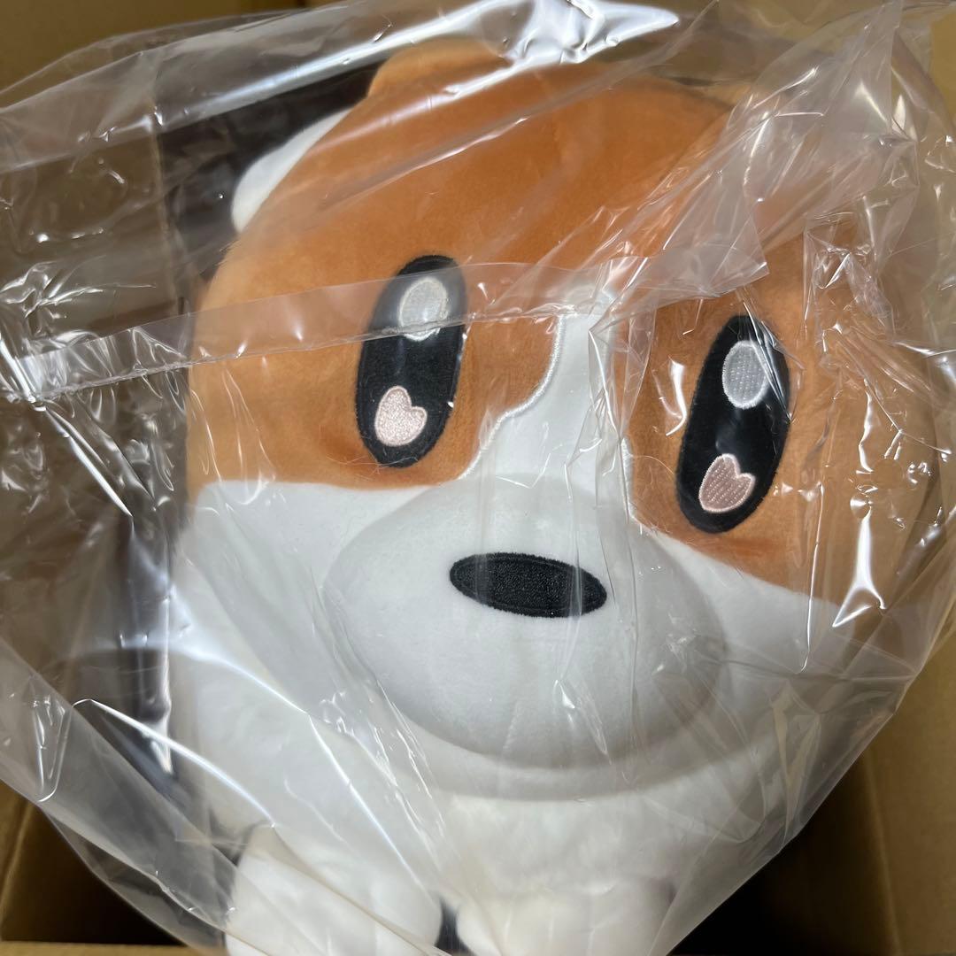 ヨルシカ コーギー ぬいぐるみ suisデザイン 前世 完全受注生産