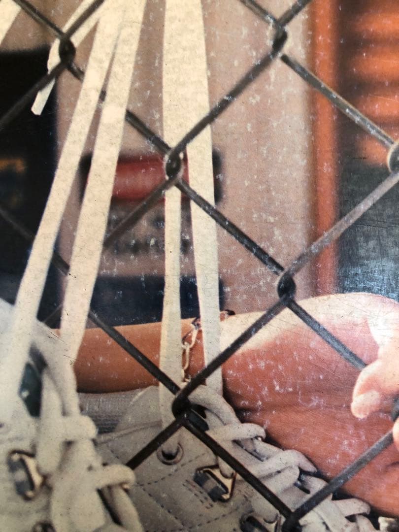 BoA 非売品 レア パネル スケッチャーズ skechers ②ボアちゃん近し