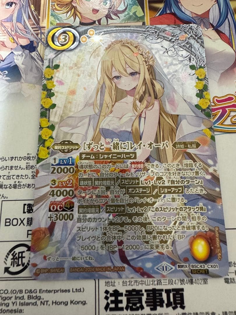 ずっと一緒に レイ・オーバ Secret