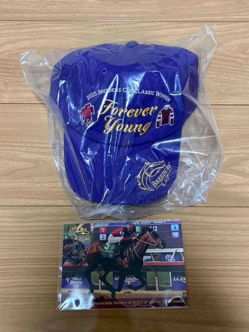フォーエバーヤングBCクラシック優勝記念非売品キャップ - メルカリ