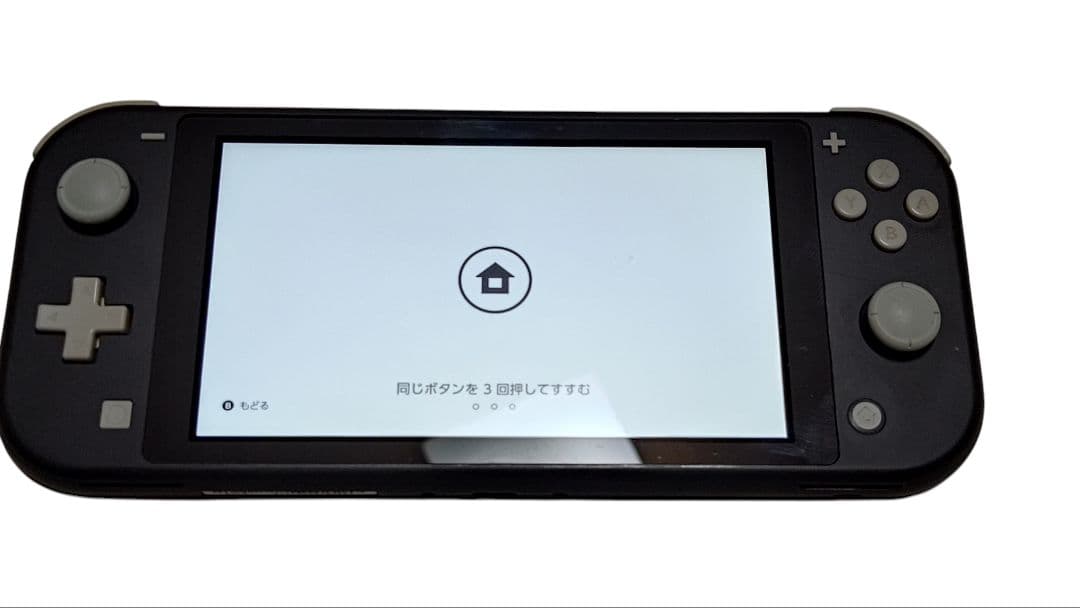 Nintendo Switch Lite グレー　動作問題なし