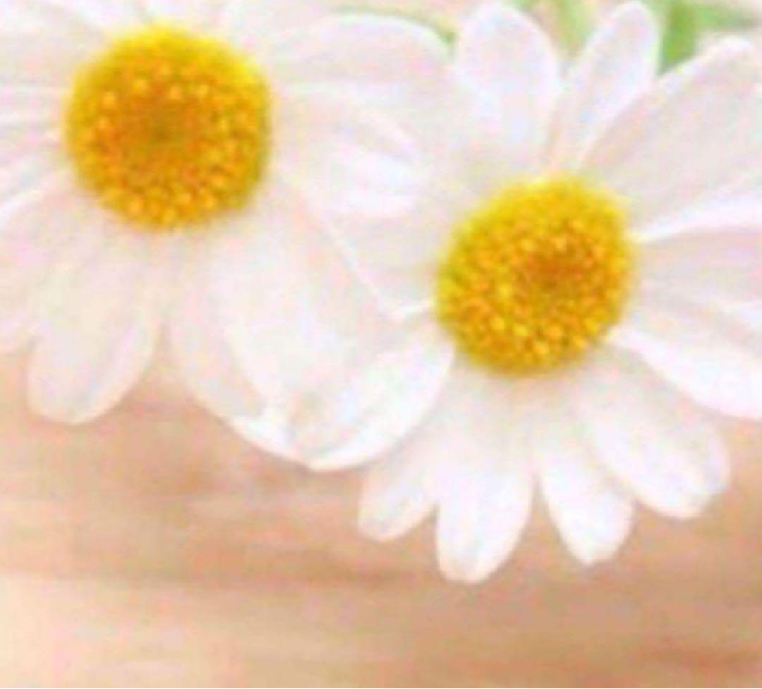 ちぃちぃ クリアクレンジング コラゲリード