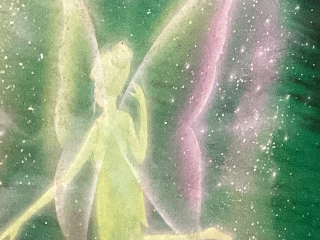 ディズニー グリーンヴェニス塚本馨三 アート 絵画 シルクスクリーン