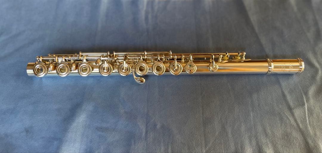 アルタス / TS-REH INLINEリングキィ #13926総銀製 H足部管 - メルカリ