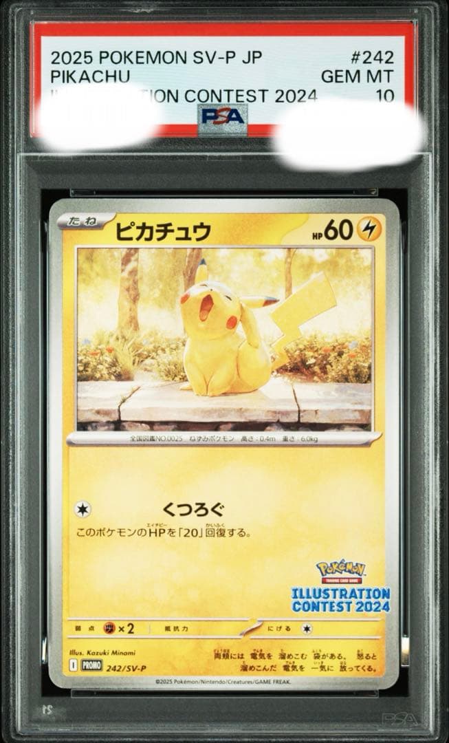【PSA10】ピカチュウ　242/SV-P イラストレーションコンテスト2024 PSA 10 Pikachu 242/SV-P Pokemon Illustration Contest 2024 Japanese