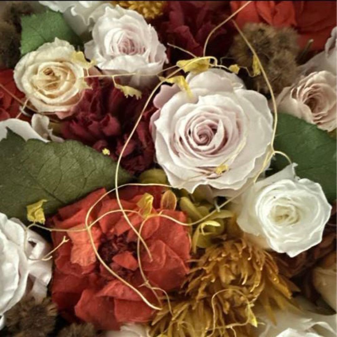 m　箱付き　リアボーテ　クレアスキン