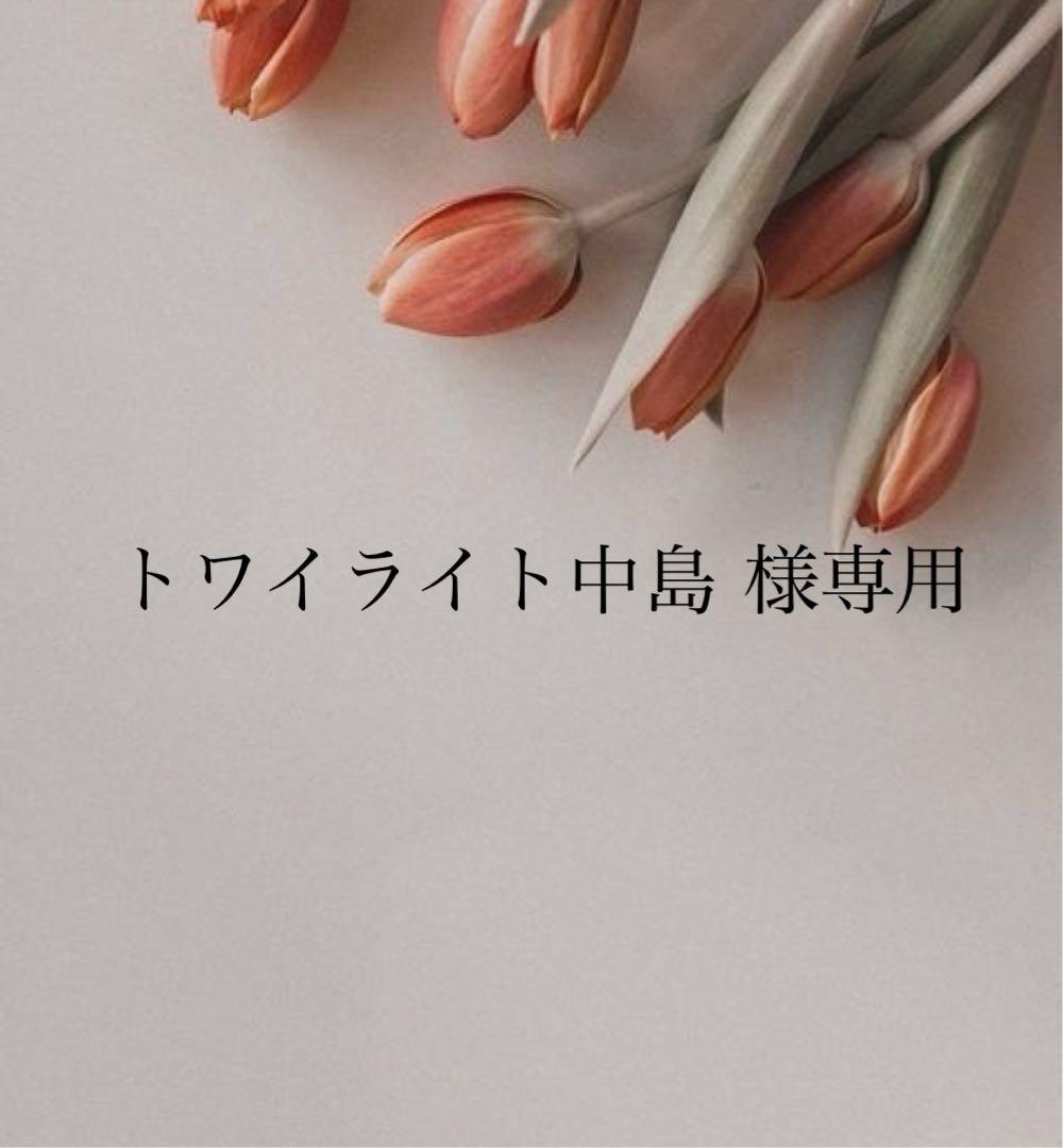 トワイライト中島