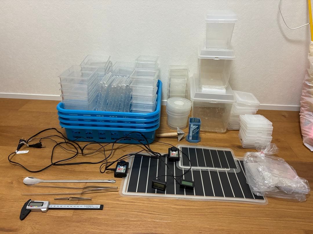 クワガタ ・カブトムシ　飼育良品　まとめ売り