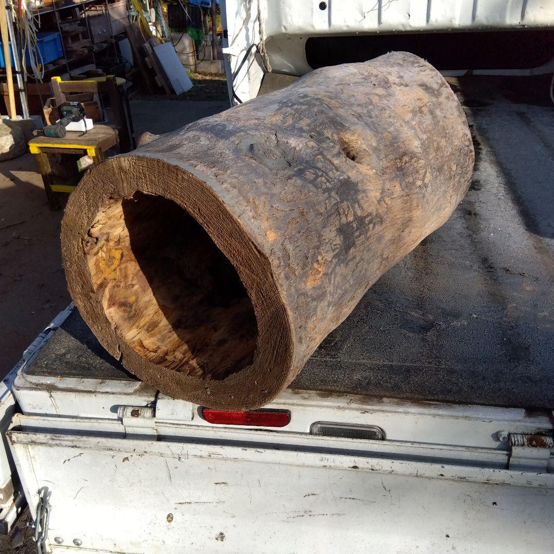 自然な木目の丸太 樹洞 丸洞 桐老木 昆虫飼育箱