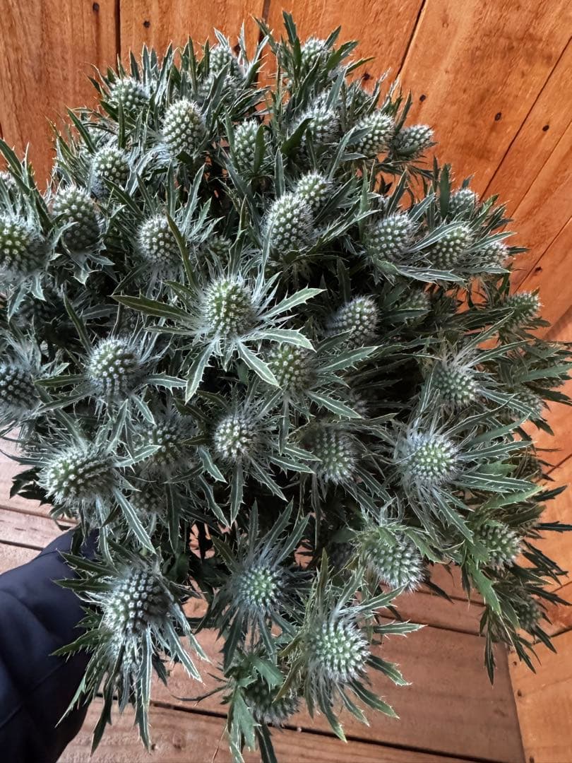 pp...様 リクエスト 3点 まとめ商品 松井様 リクエスト 3点 まとめ商品 - メルカリ