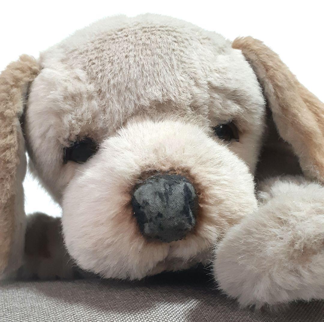 【美品】ジョックライン　JOCKLINE社　当時物　イタリア製　犬　ゴールデン