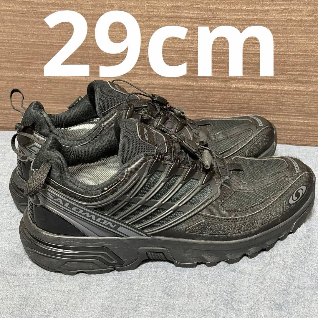29cm SALOMON ACS PRO GTX ゴアテックス サロモン