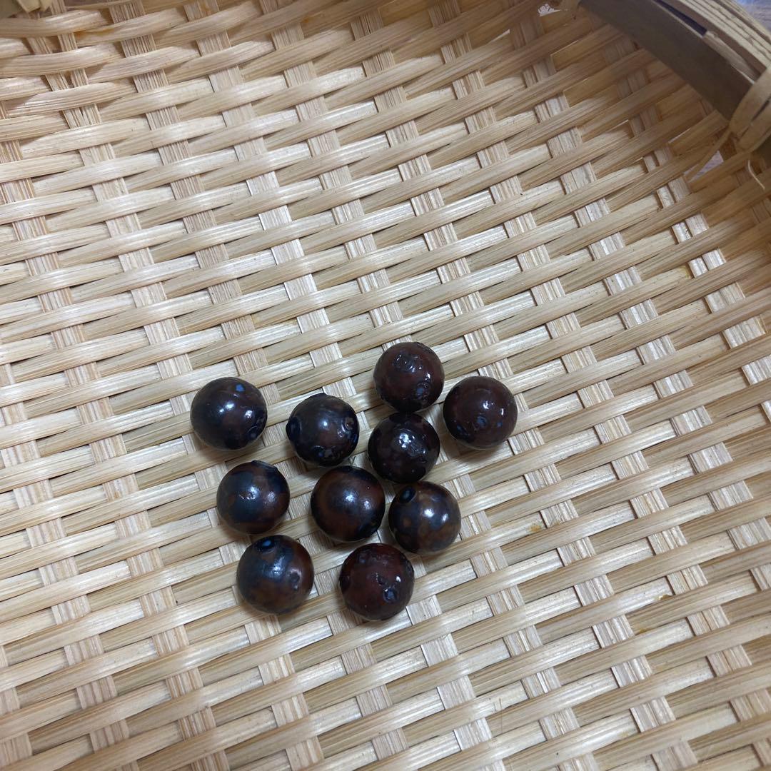 ワールドレップサービス ワールドレップサービス ミネラル エマルジョンゲル イオンゲル