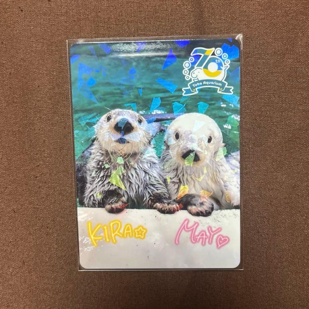 ら*こ様 鳥羽水族館 コレクションカード レア ラッコ 鳥羽水族館 TOBA AQUARIUMコレクションカード レア ラッコ キラメイ