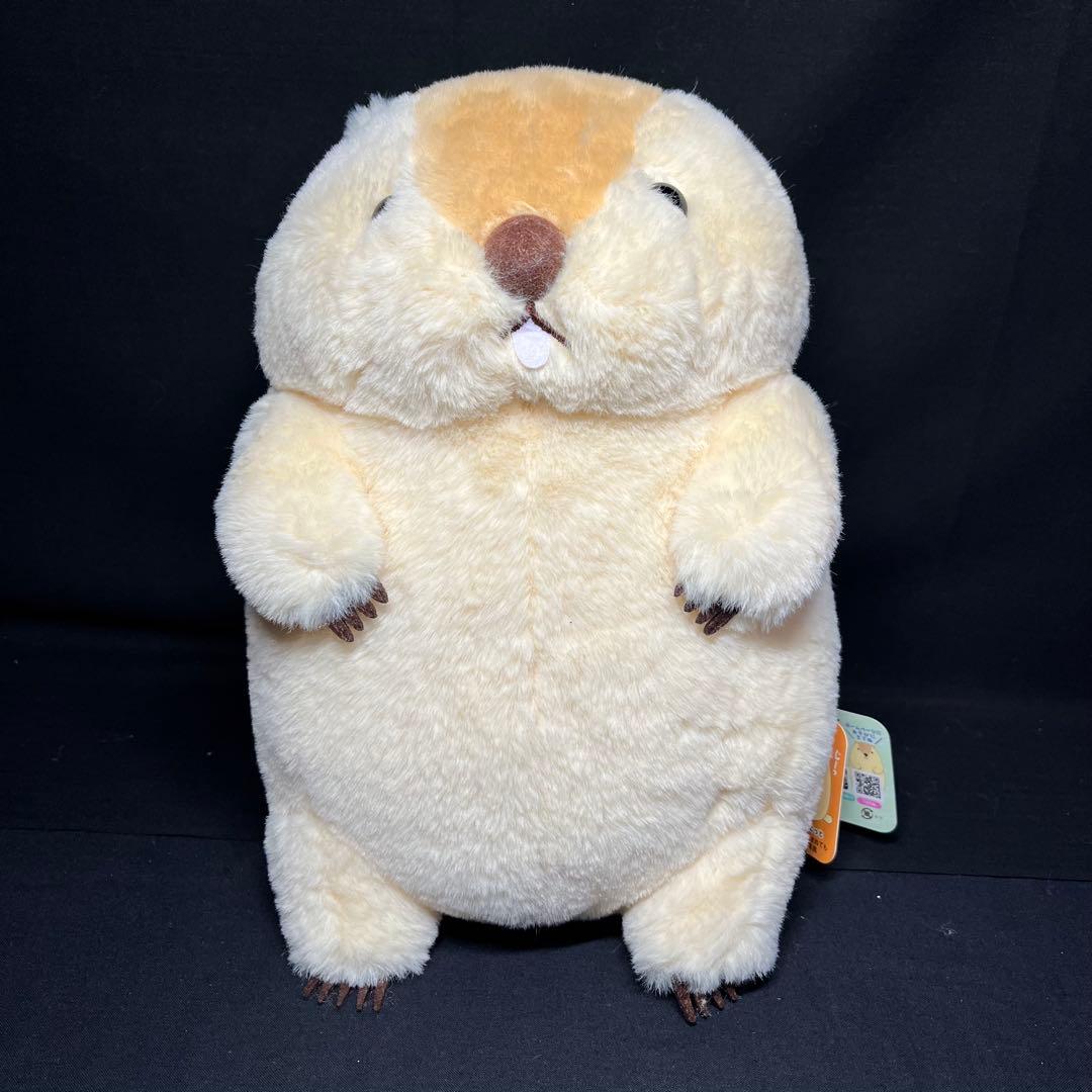 マーモットのもっとっと JB アー太郎 はまもと もっとっと ぬいぐるみ