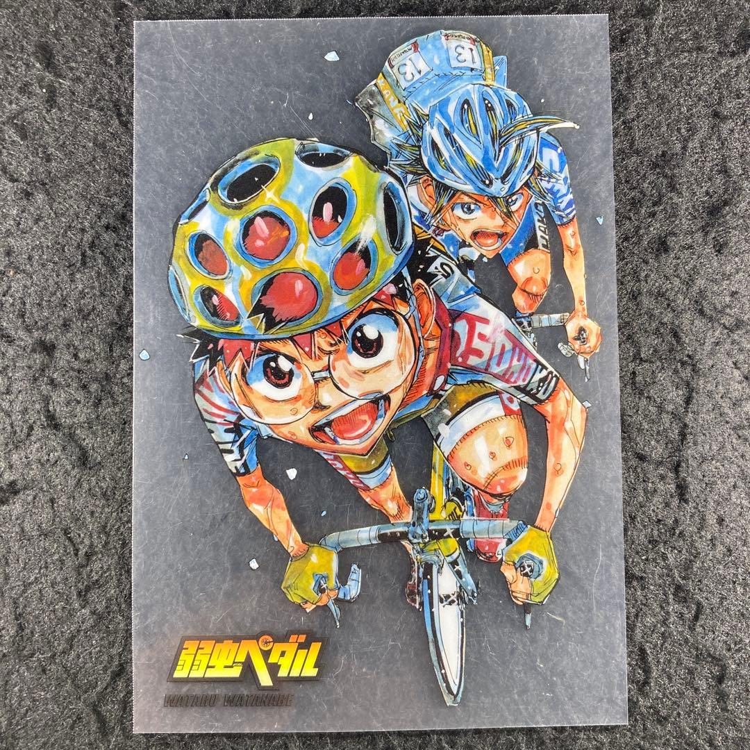 小野田坂道 真波山岳 弱虫ペダル クリアイラストカード A6サイズ