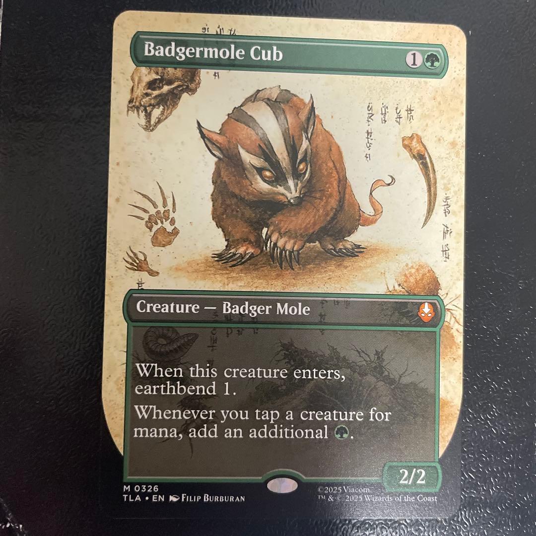 アナグマモグラの仔 絵違い