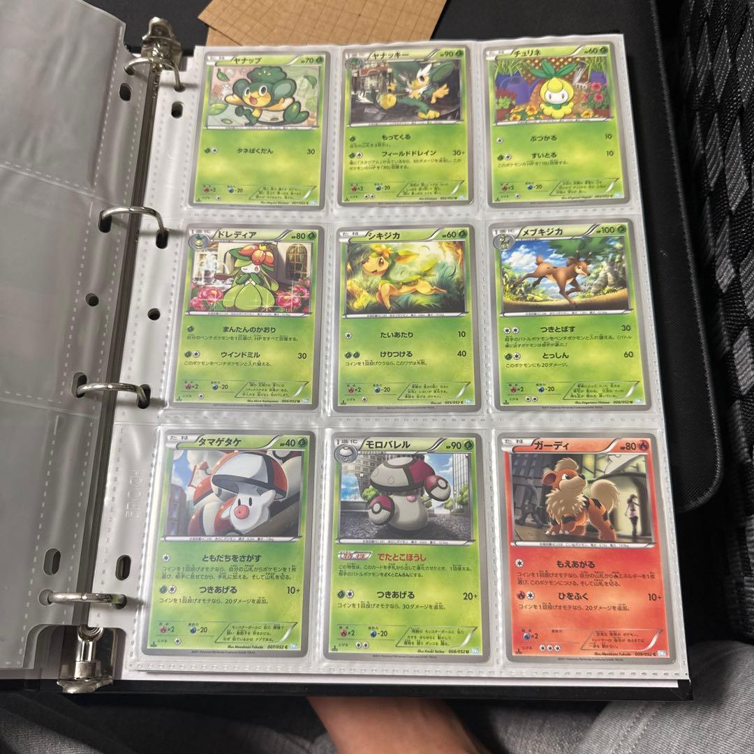 ポケモンカード BW3 ヘイルブリザード エンブオー ur グラードンex sr