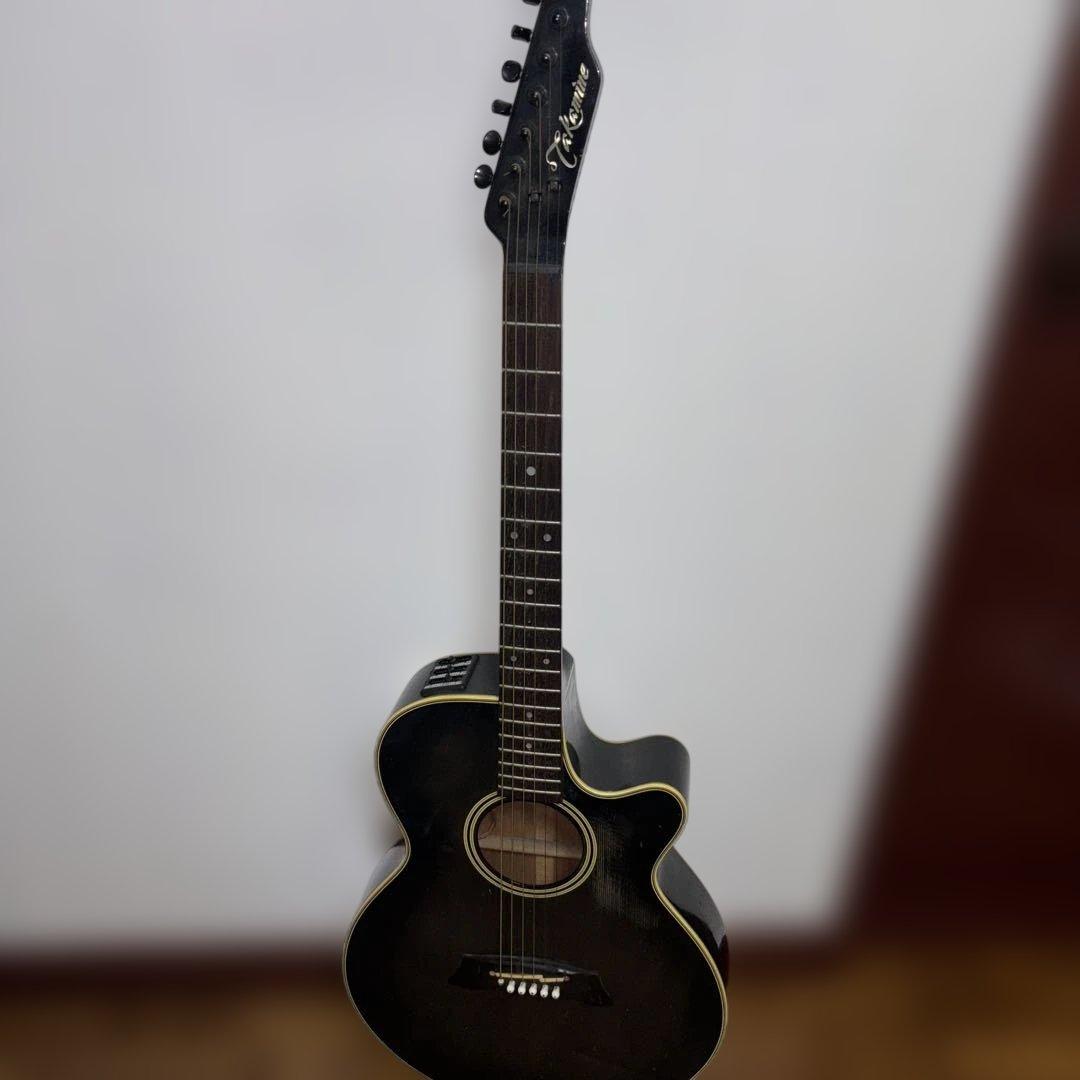 タカミネ　エレアコ