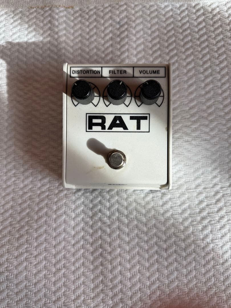 proco RAT イケベ限定カラー 白ver