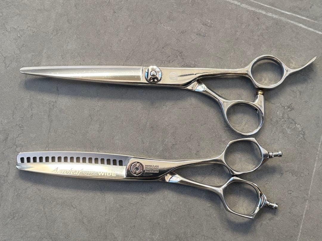 ミズタニ　アクロリーフ　ブラックスミス