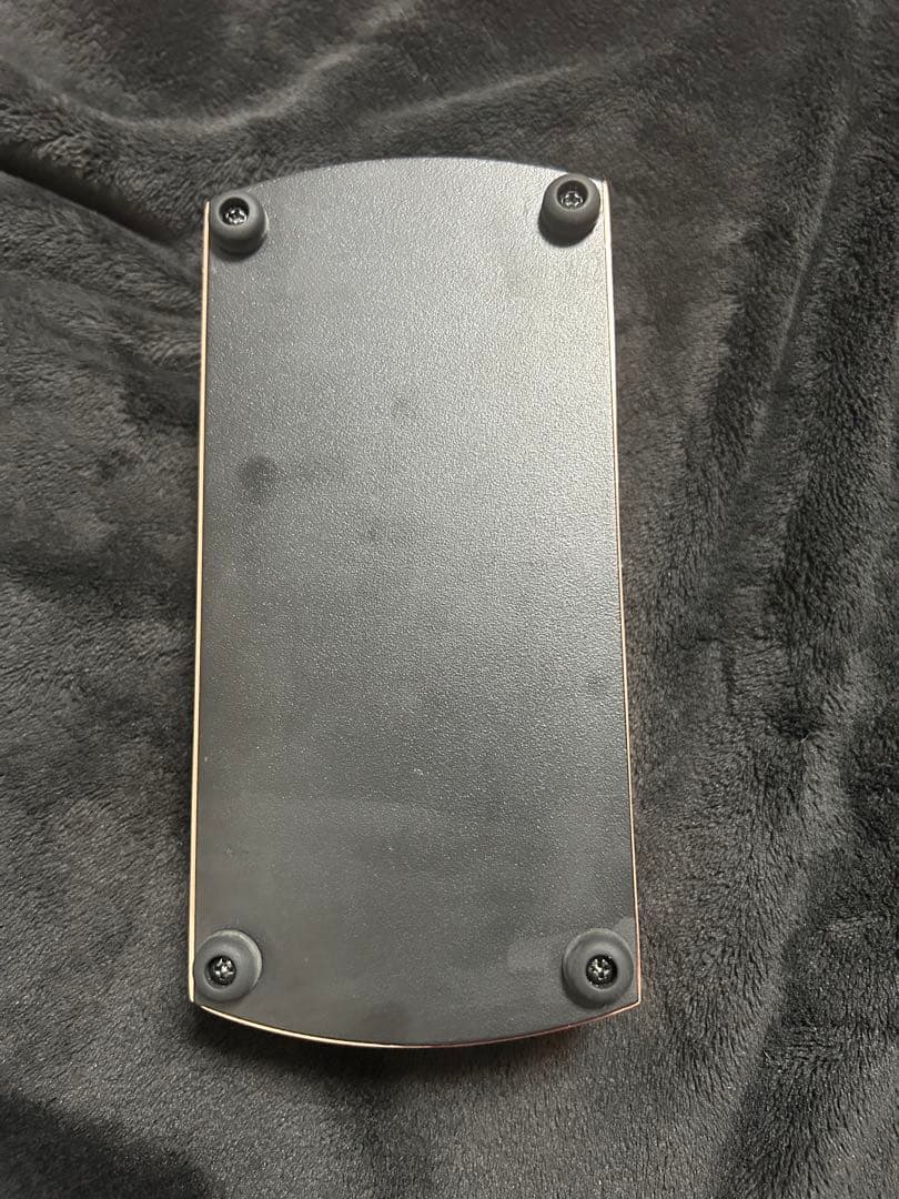 再値下！ERNIE BALL AMBIENT DELAY / TAP TEMPO