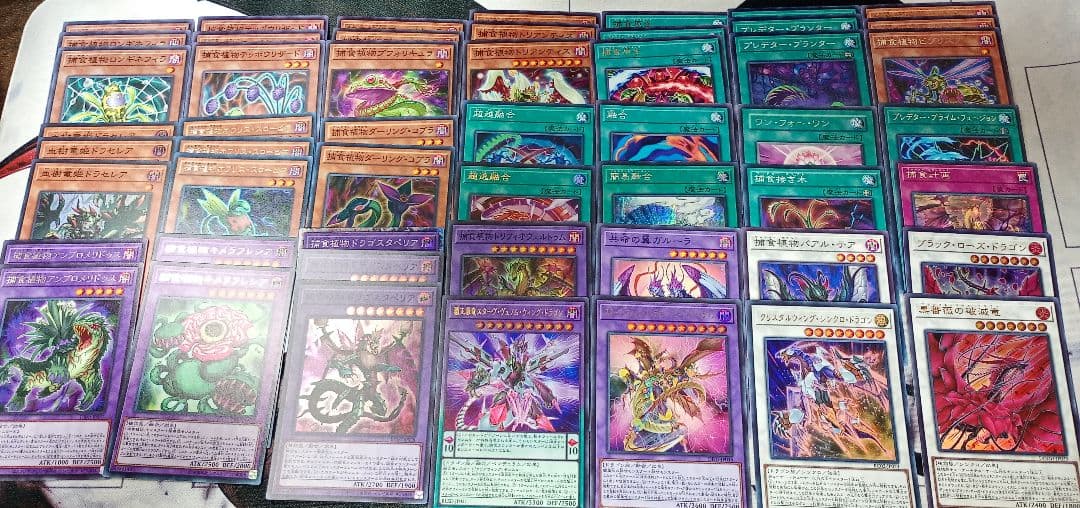 遊戯王 捕食植物デッキ プレデタープランツ優勝構築超逸融合 大会