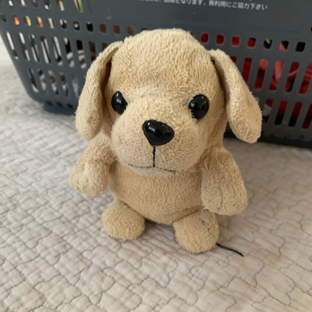 ベージュの犬のぬいぐるみ Amazon.co.jp: Lanmore 21インチ 犬 ぬいぐるみ 大型 子犬 フラシ天