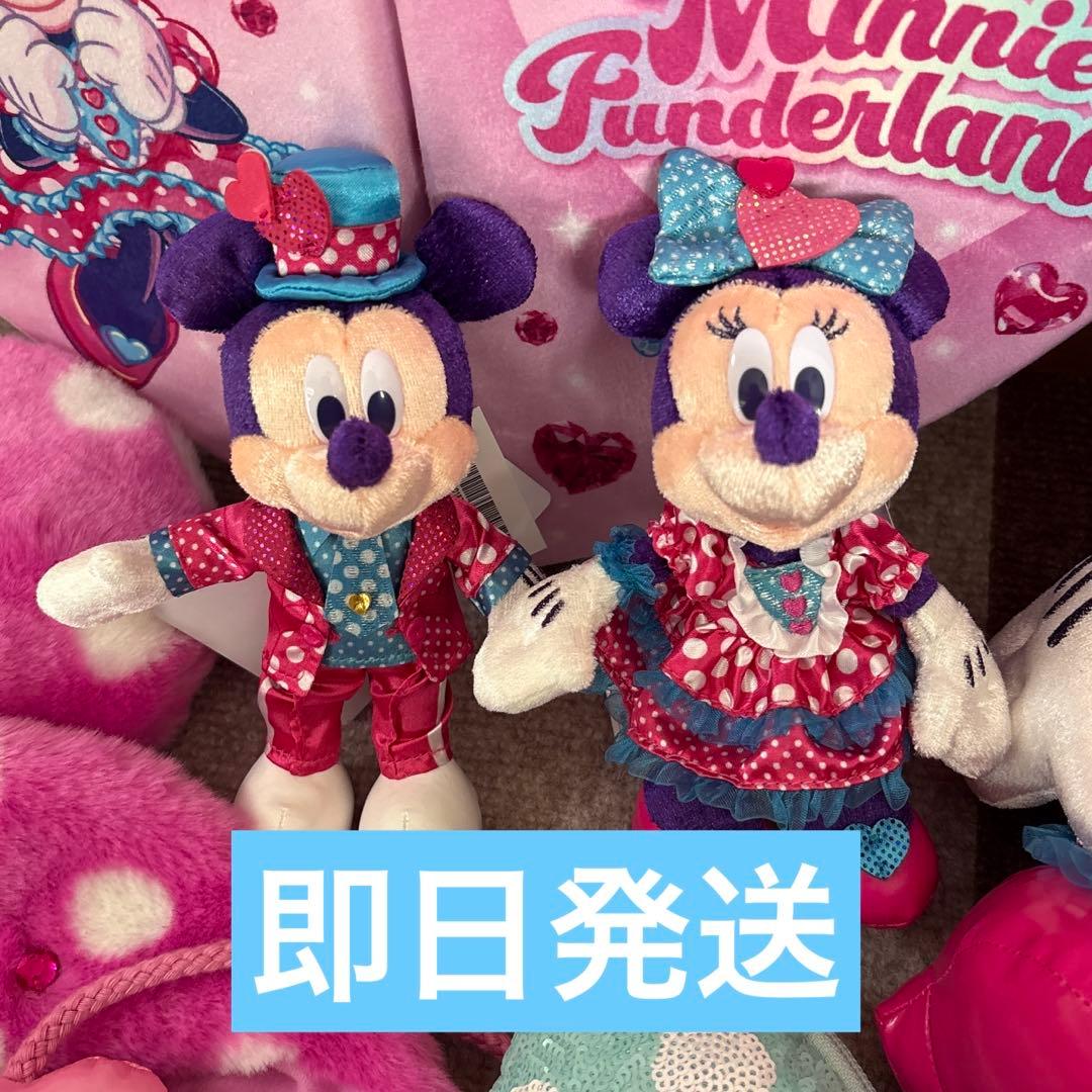 パルパルーザ ファンダーランド ミッキー ミニー ぬいぐるみバッジ　2体セット ディズニー パルパルーザ ファンダーランド ミッキー ミニー ぬいば