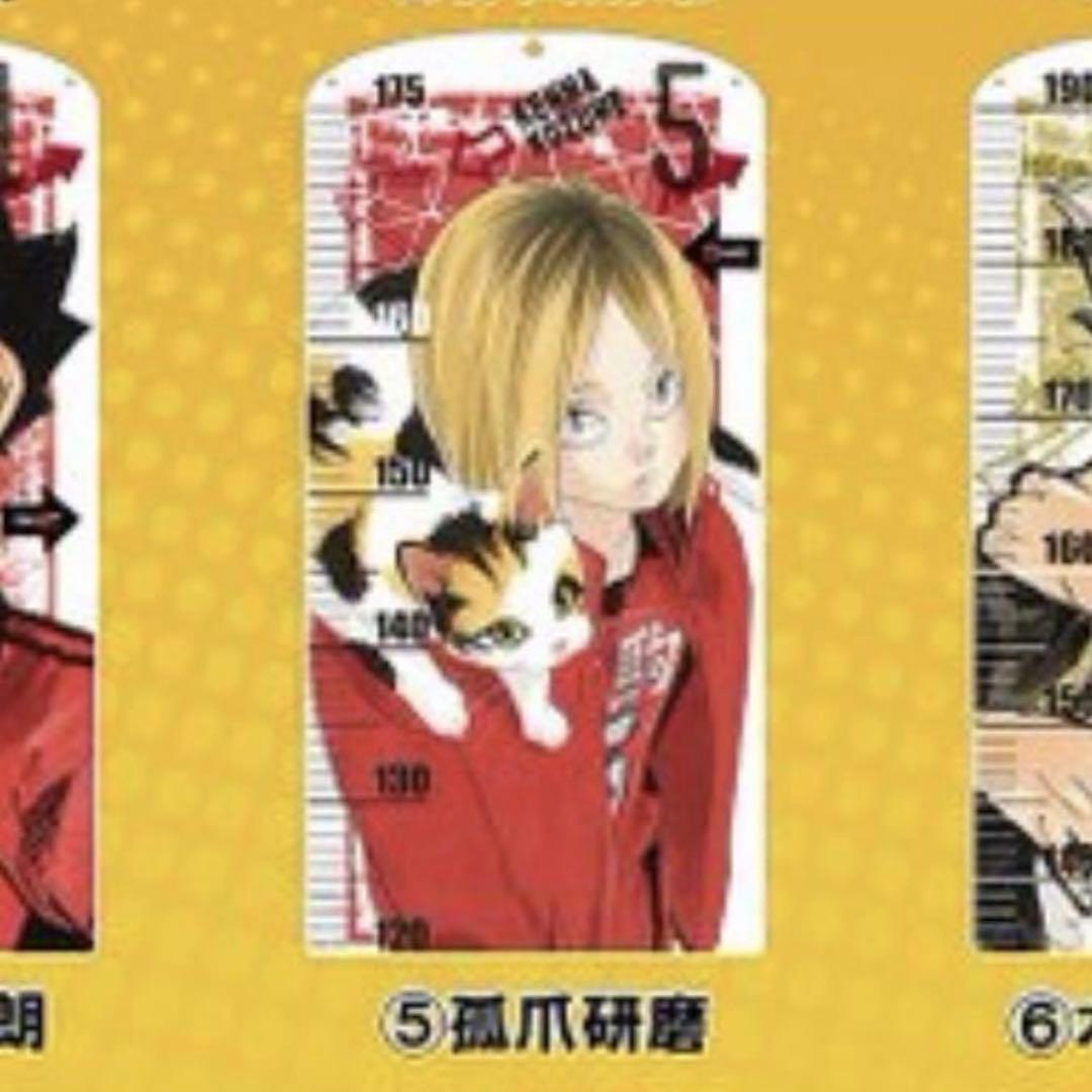 研磨 アクリル板　アクリル 等身大 身長計 ハイキュー ゴミ捨て場の決戦