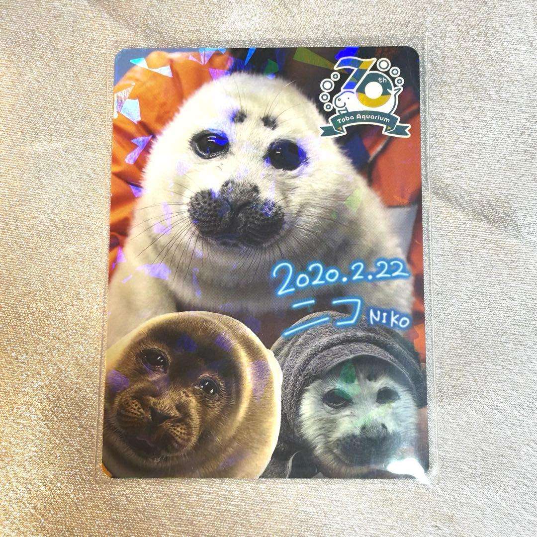 ニコちゃん レアカード 鳥羽水族館 コレカ アザラシ コレクションカード