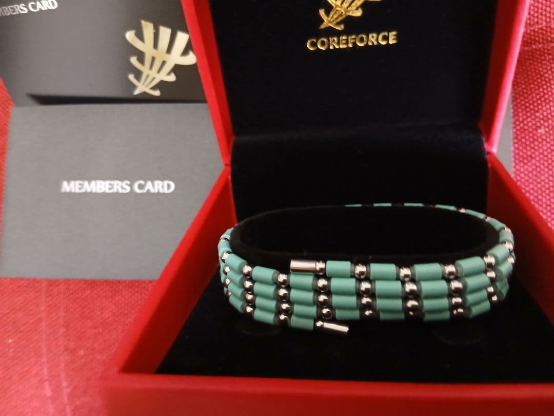 COREFORCE 　MARINE(70cm)