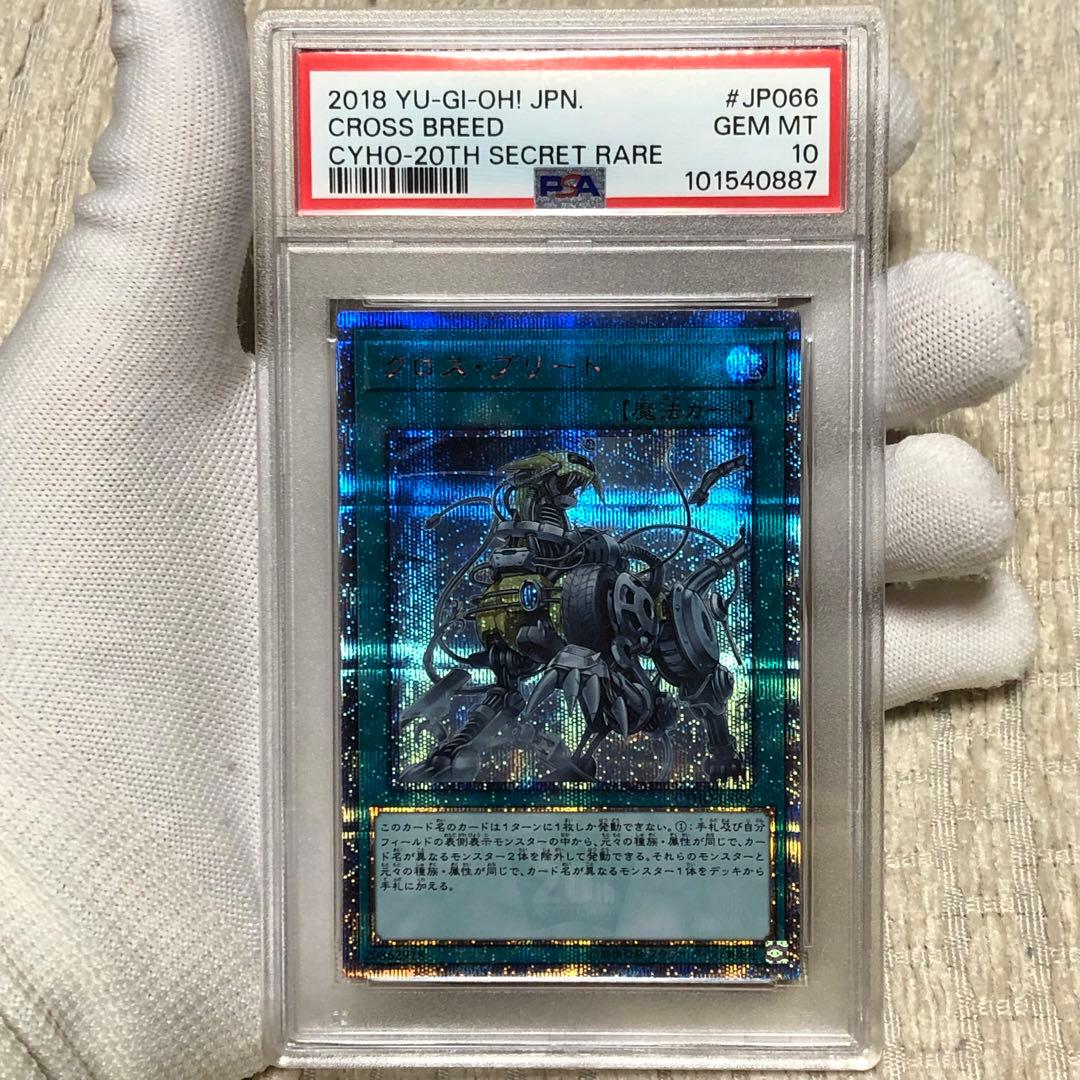 psa10 20th クロスブリード　遊戯王