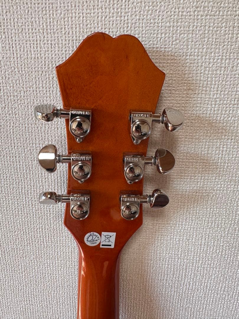 Epiphone DOVE PRO エレアコ Fishman搭載 弦高低め - メルカリ