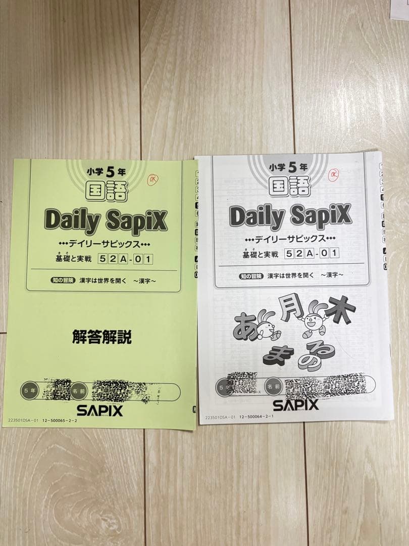 Sapix 五年　国語　フルセット