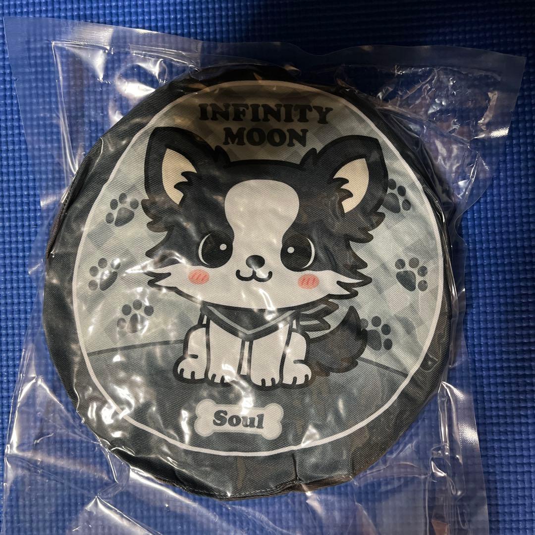 INFINITYMOON 登坂広臣 会場 ガチャ レア クッション ØMI - メルカリ