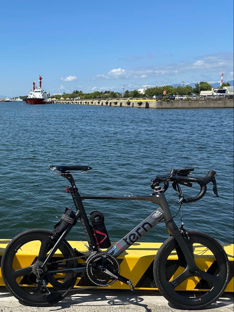 【ゆうき】2023 tern surge pro 限定カラー ゆうき様専用】2023 tern surge pro 限定カラー - メルカリ