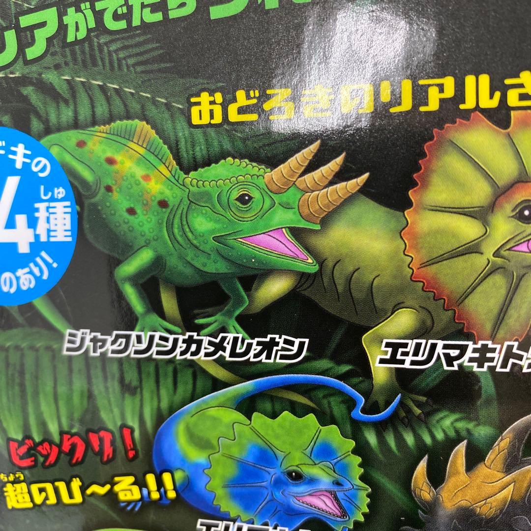 変形爬虫類リアルトカゲ＆ワニ ジャクソンカメレオン - メルカリ