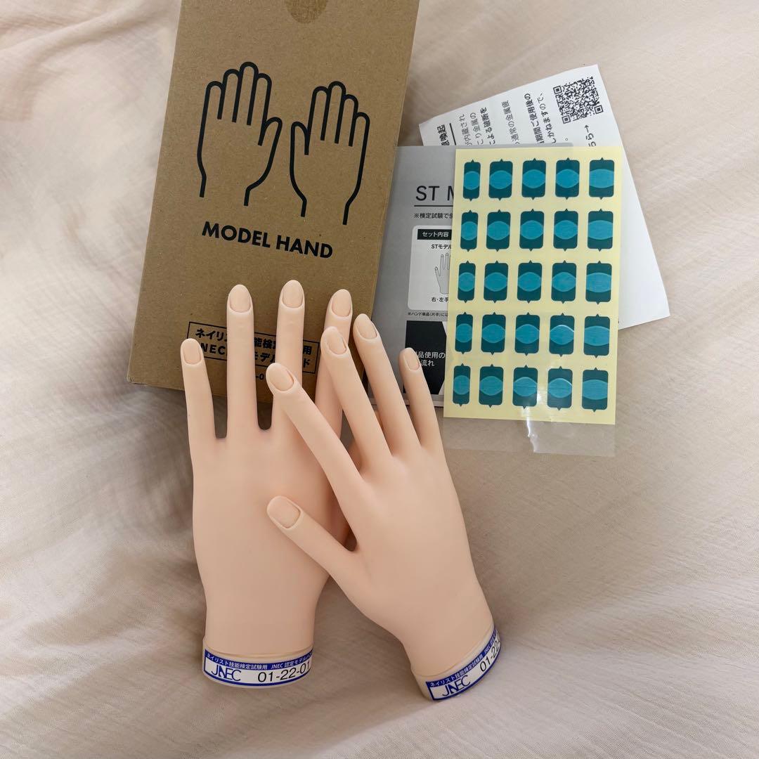 JNEC 認定モデルハンド　骨折なし　ルースキューティクルシール付き