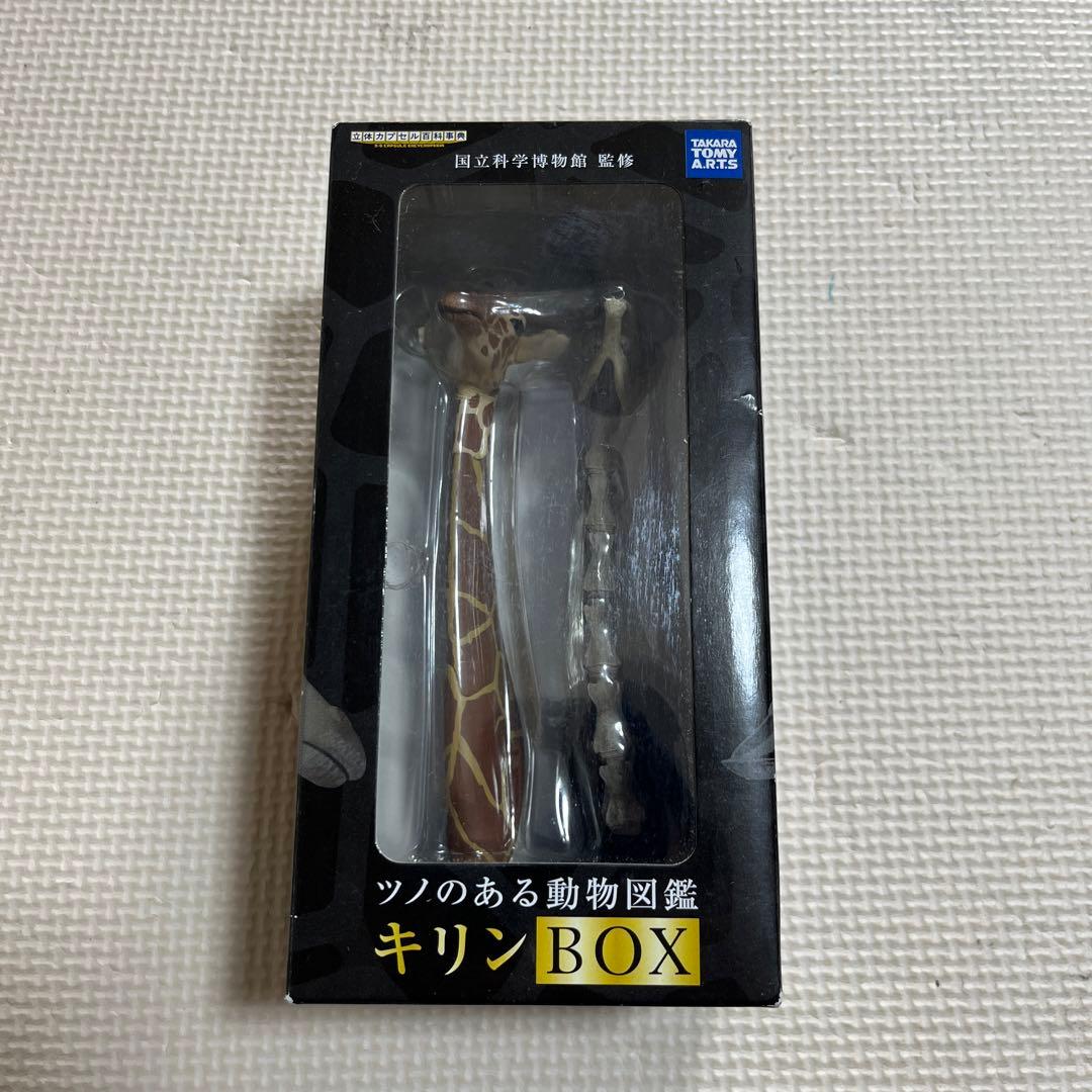 ツノのある動物図鑑　キリン　BOX 国立科学博物館 Amazon.co.jp: ツノのある動物図鑑 キリンBOX 国立科学博物館 標本